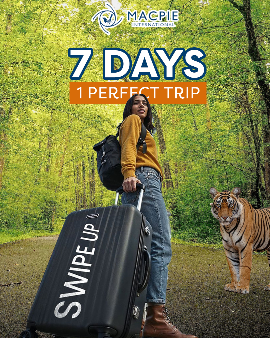 7 Days 1 Perfect Trip