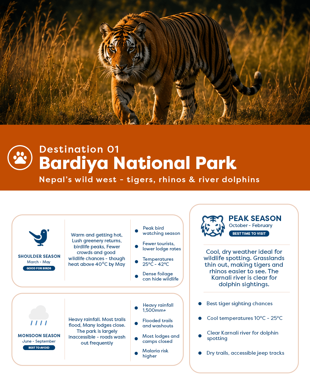 About Bardiya